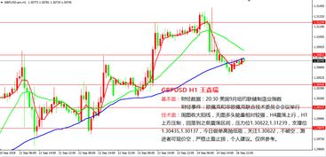 【华富之声】铜期货实时行情（2025年1
