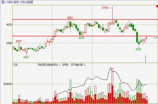 【大豆期货】投资策略（2025年10月2
