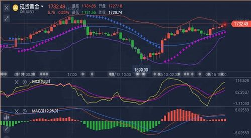 【华富之声】原油期货实时操作技巧（202