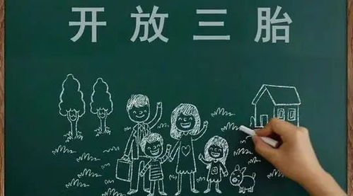 【华富之声】基金市场行情速览（2025年10月21日）｜投资策略与板块轮动分析