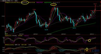 美原油主力合约分析：技术形态将反转？，美原油主力合约行情