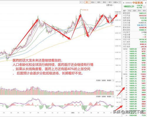 今日A股市场最新消息面解读｜2025年1