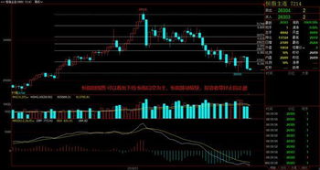 【华富之声】基金实时走势（2025年10