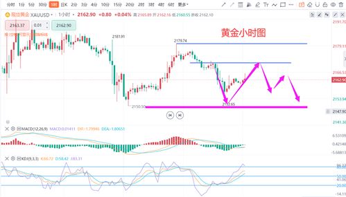 【华富之声】国际黄金行情实时解读｜2025年10月23日趋势分析与多空策略