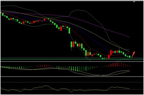 【华富之声】黄金、原油「背离信号」再现！（2025-10-23）｜对明日A股资源类基金意味着什么？