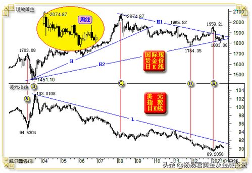 【华富之声】外汇期货明日走势预测（202