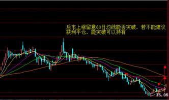 【华富之声】大豆期货实时走势｜明日价格预测与投资建议