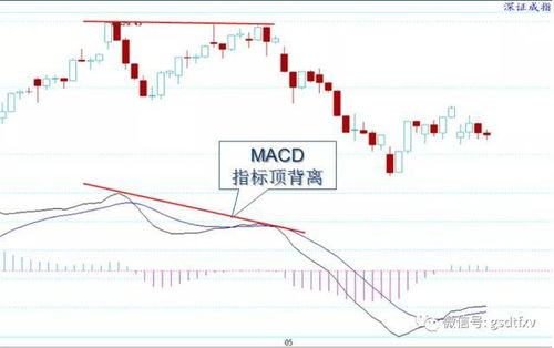【华富之声】A股明日多空力量分析｜10月23日指数行情与操作指南