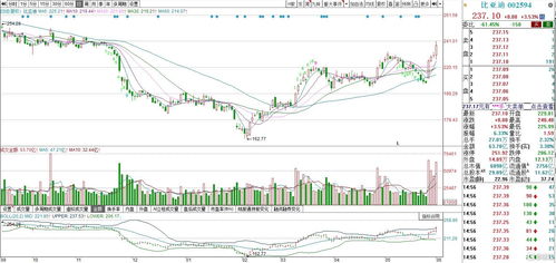 【华富之声】A股指数今日解盘（2025年10月23日）｜沪深股指实时走势分析