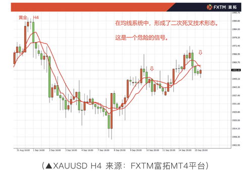 【华富之声】期货市场明日全景解盘（2025年10月23日）｜黄金、原油、股指同步分析