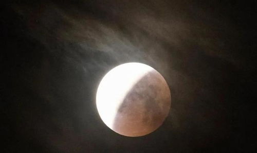 【华富之声】原油期货明日行情前瞻（202