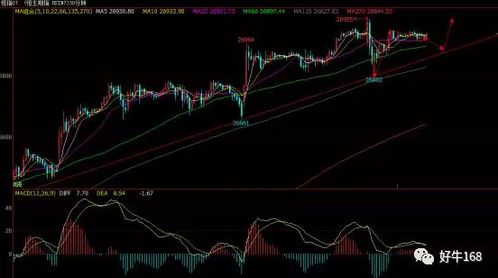 【恒指直播间】今日恒指、基金及深证指数操作策略｜国际期货直播室实时解盘