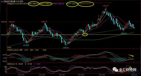 【黄金期货直播室】2025年10月23日黄金、原油期货操作策略｜国际期货直播室实时行情解读