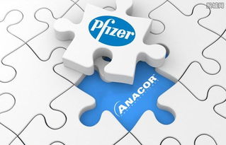 破浪前行：PaloAltoNetworks利润与收入的“三连加速”，解锁增长新纪元