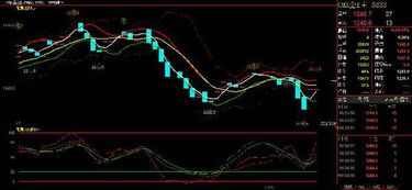 【国际期货直播室】黄金原油收盘点评｜基金