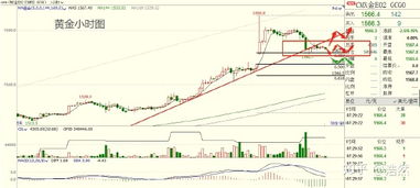 【黄金期货直播室】实时金价牵动全球脉搏，恒指纳指避险联动新解读
