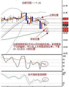 今日白银盘中突发异动，技术面解析，白银日线今日行情分析