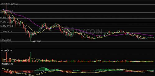 【纳指直播间】纳指今日行情总结｜明日操作策略与风险提示