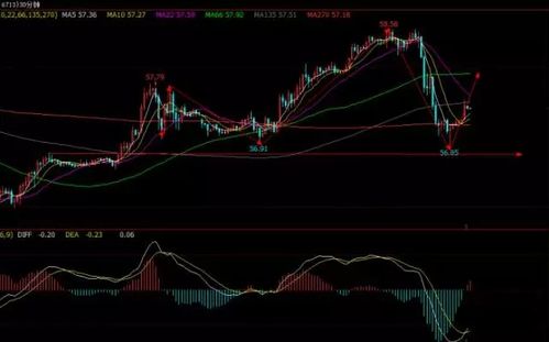 【国际期货直播室】今日国际期货走势分析｜