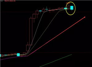 【国际期货直播室】恒指纳指巅峰对决：全球资本流向深度剖析