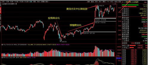 【基金净值最新播报】2025年10月23日A股、恒指走势预测与资金流动观察