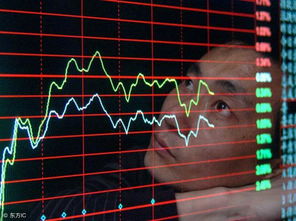 驾驭全球货币浪潮：华富之声期货带你玩转外汇期货合约的奥秘