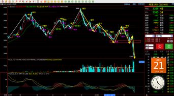 期货之家财情华富之声网：洞悉全球金融脉搏，驾驭投资风云