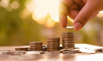 期货之家财情华富之声网：洞悉金融交易与投资工具的未来蓝图