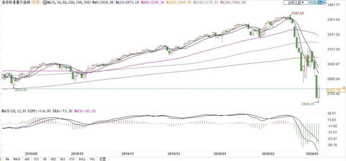 财富脉搏，智赢未来：华富之声网与期货之家网引领您的投资新纪元