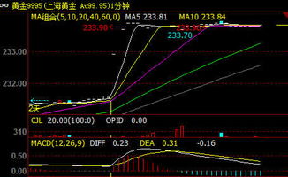 国际金价走强，黄金期货多单还能持有多久？，黄金期货最多可以做多少手