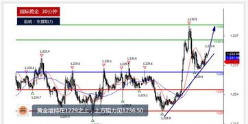 明日黄金原油期货直播室实时行情（2025年10月24日）——洞悉先机，赢在未来！
