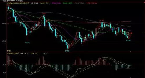 决胜2025：德指期货明日策略深度解析（10月24日直播室精华）
