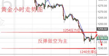 明日期货直播室黄金原油实时走势（2025年10月24日）：决胜千里之外的财富密码