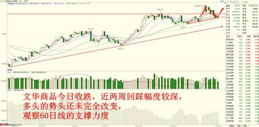 决胜2025：国际期货直播室明日全品种策略（10月24日）