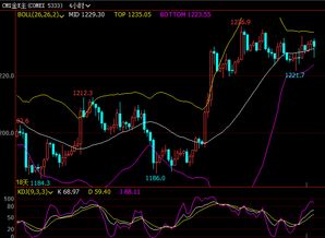 恒指明日走势预测及策略建议（2025年10月24日）