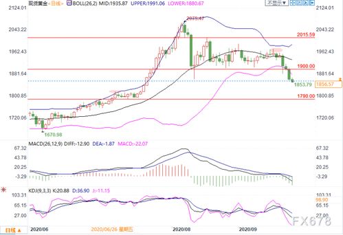 黄金原油期货明日技术面分析（2025年10月24日）：掘金下一个风口，精准布局，稳健盈利！