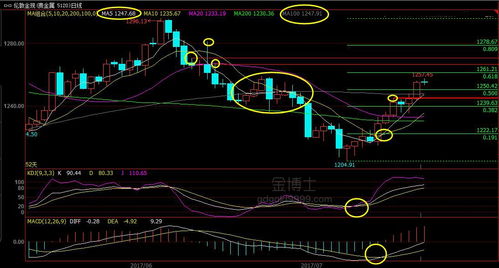 明日恒指直播间短线交易策略（2025年10月24日）——把握稍纵即逝的盈利机遇
