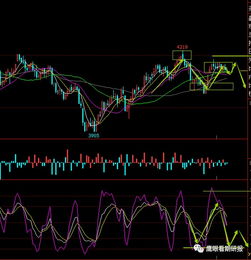 明日国际期货直播室盘面信号研判（2025年10月24日）