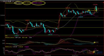 明日黄金期货直播室短线机会（2025年10月24日）：抓住瞬息万变的黄金脉搏！