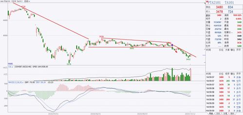 明日国际期货直播室多空力量对比（2025年10月24日）：拨开迷雾，洞悉先机！