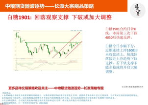 智赢未来：国际期货直播室明日策略（2025年10月24日）——洞悉先机，决胜千里
