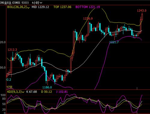 明日恒指直播间实时行情预测（2025年10月24日）
