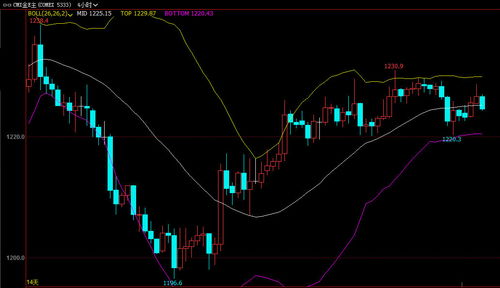 期货直播室明日行情前瞻：恒指、纳指、德指多空博弈与黄金、原油同步策略解析