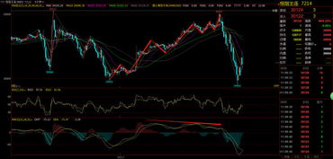 【国际期货直播室】明日恒指操作建议｜恒指期货与基金市场联动走势