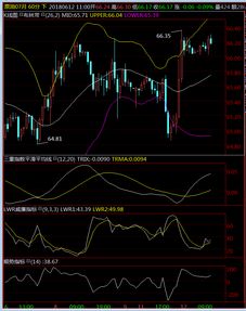 深证指数vs恒生指数，谁将引领风向？【期货直播室】今日聚焦：纳指、黄金、原油最新交易机会！