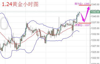 【黄金期货直播室】2025年10月24日金价走势预测｜国际期货直播室全程讲解