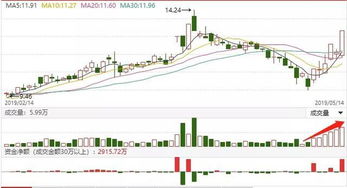 国际期货今日最新行情｜明日走势预测+多空布局+热点板块