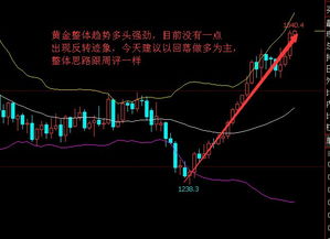 实时更新：黄金期货直播室与原油期货直播室