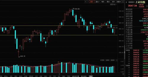 白酒消费：穿越寒冬，静待春风拂面