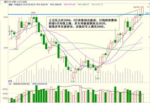 【内盘期货】生猪期货低位盘整，产能去化仍是关键，生猪期货大跌的原因